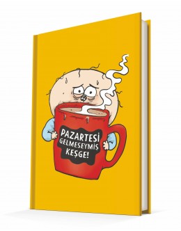 Uykusuz / Pazartesi Gelmeseymiş 14x20