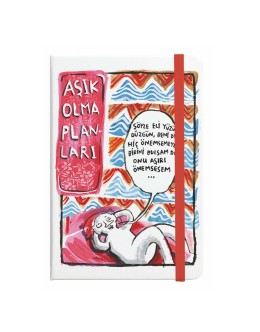 Uykusuz / Aşk Planları